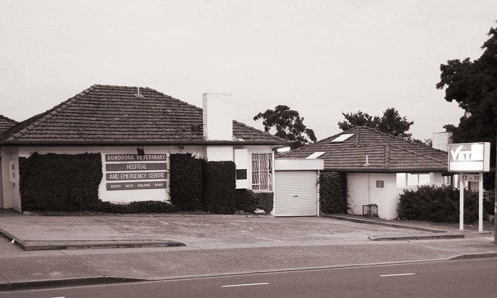 Bundoora Veterinary Clinic & Hospital